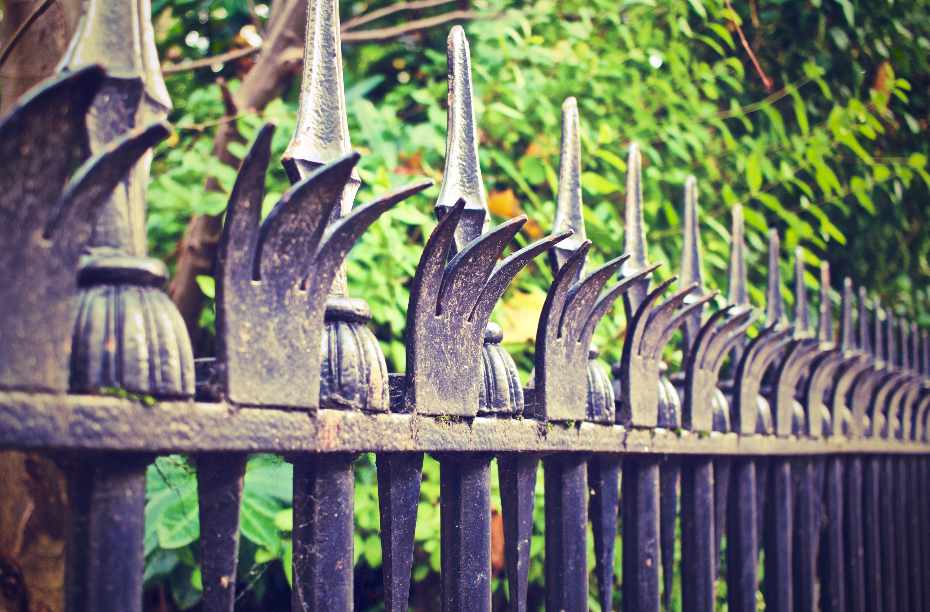 fence-569281