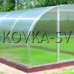Теплица №256